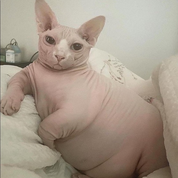 lexsmi111